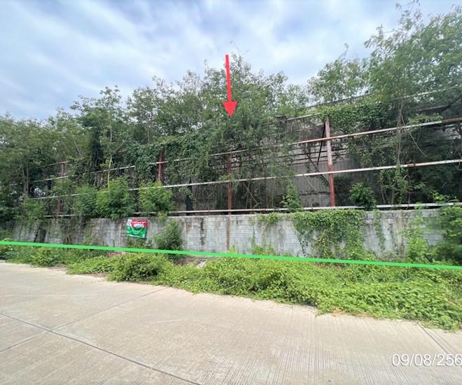 หัวเขา เดิมบางนางบวช สุพรรณบุรี